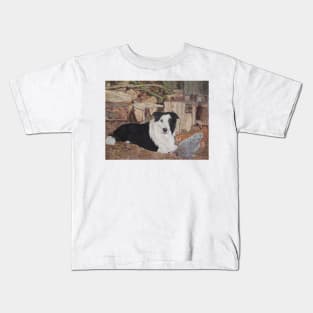 border collie in log shed with chickens dog portrait Kids T-Shirt